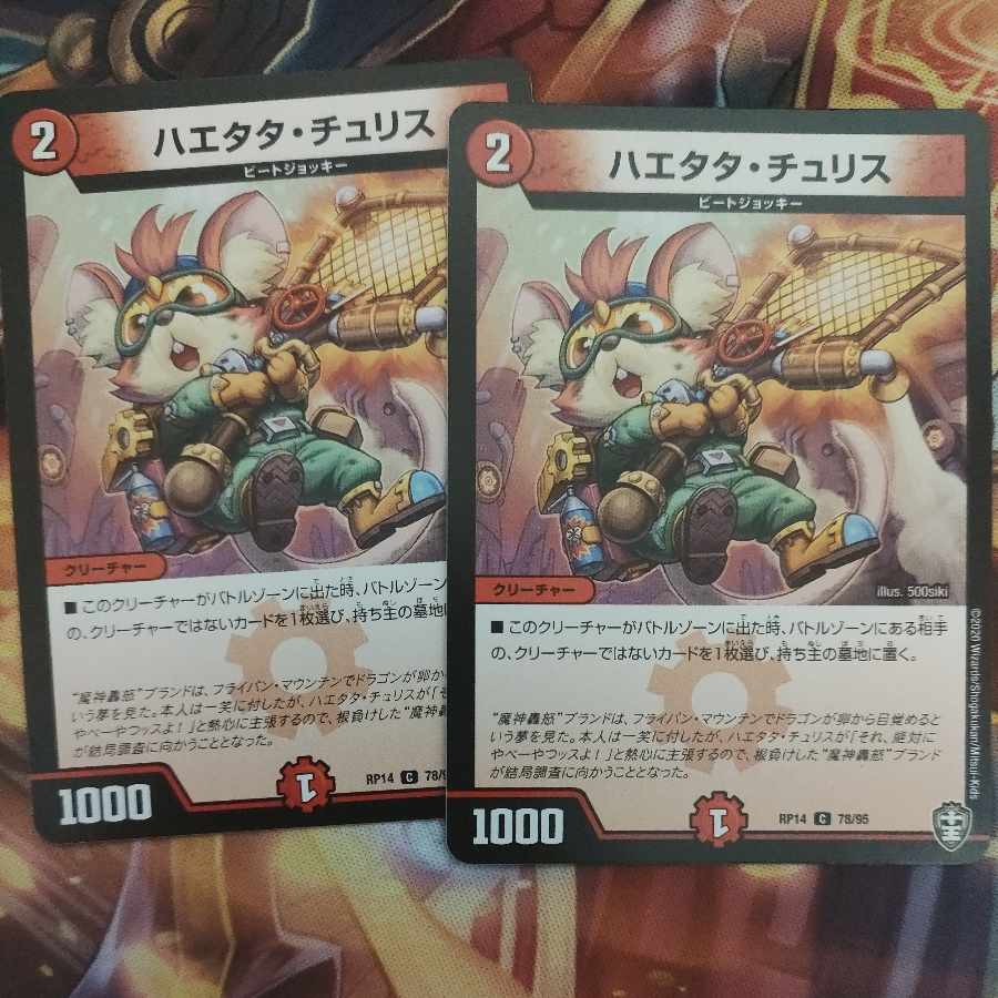 Haetata Chu Squirrel C 78/95