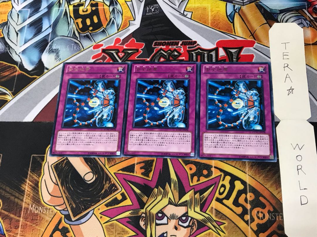 Safe Zone EXVC 5 Rare, set of 3 Tera.