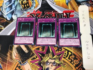 Soul of Eternity DP17 1 rare, set of 3 Tera.