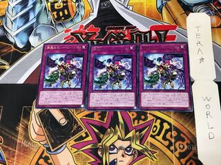 Harpie Lady Elegance DP21 1 rare set of 3 tera