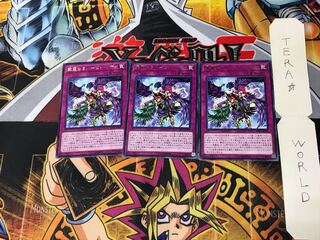 Harpie Lady Elegance DP21 3 Rare Set of 3 Tera