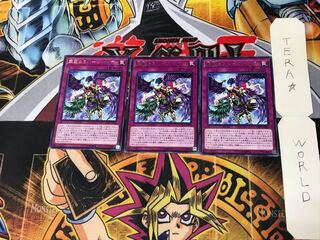 Harpie Lady Elegance DP21 4 Rare Set of 3 Tera