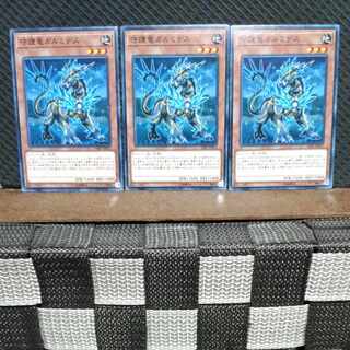 【ぽぽたん】遊戯王  #796  守護竜ガルミデス 3枚 ノーマル