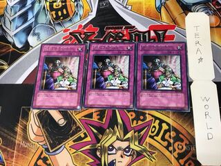 強引な安全協定 FET 2 レア 3枚セット てら