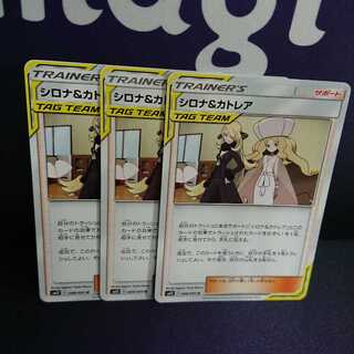 シロナ&カトレア sm