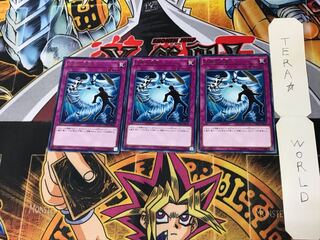 Heavy Storm Duster COTD 2 Rare Set of 3 Tera.