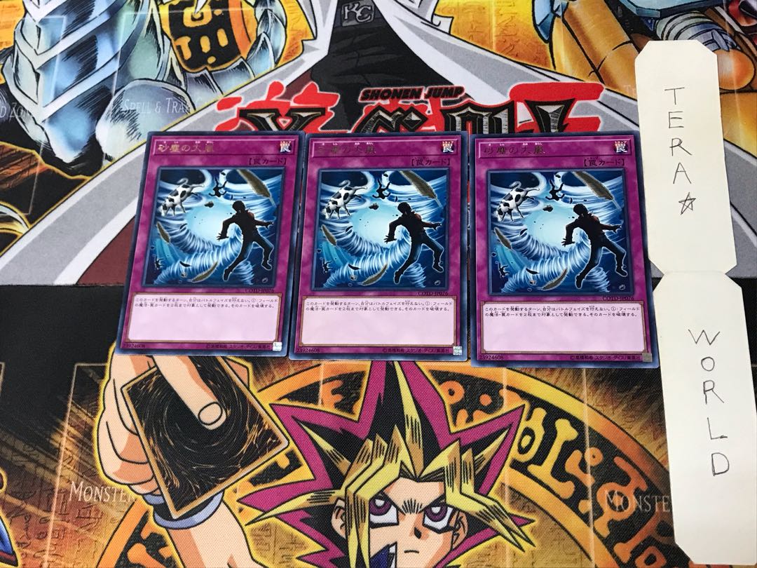 Heavy Storm Duster COTD 3 Rare Set of 3 Tera.