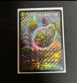 Life Life, Earth and Roaring Decision SR S12/S12