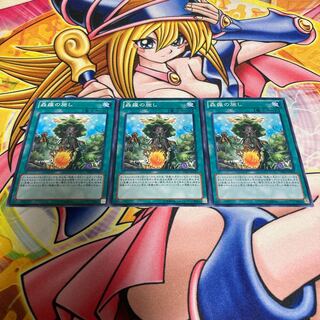 森羅の施し ノーマル JP062