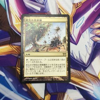 MTG 禁忌の果樹園 EXP FOIL 4枚セット MTG 禁忌の果樹園 EXP FOIL 4枚セット 感謝価格】 EX](FOIL)禁忌
