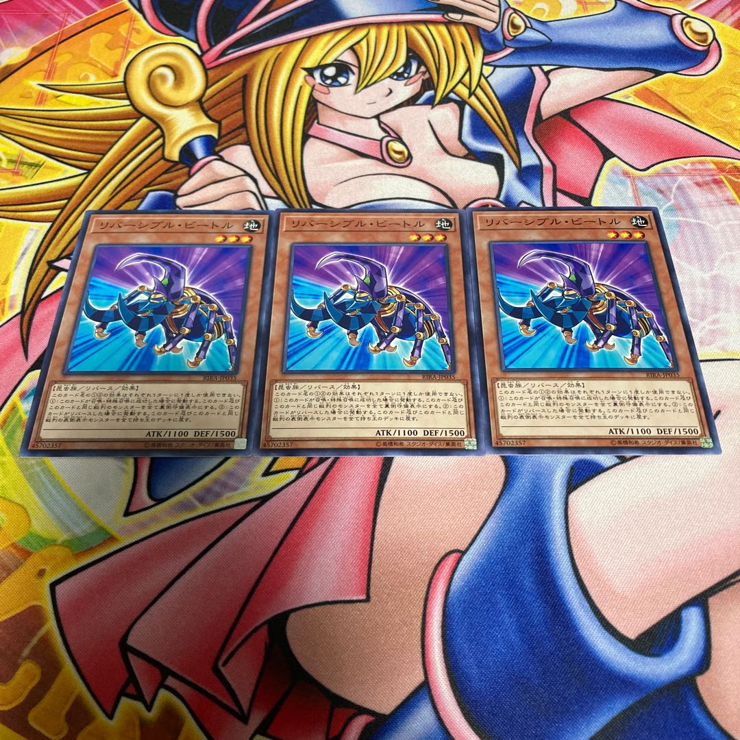 リバーシブル・ビートル ノーマル JP035