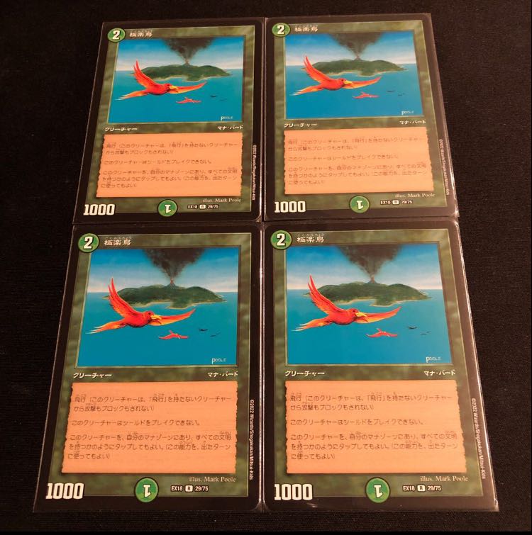 Birds of Paradise R 29/75