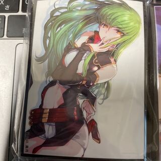 C101 フレシア  C.C. スリーブ