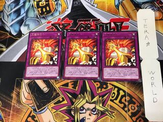Sun God Unification DP24 1 rare, set of 3 Tera.