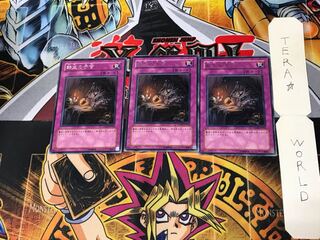 The Transmigration Prophecy STON 3 rare, set of 3 Tera.