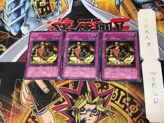 Appropriate DL1 2 Rare Set of 3 Tera.