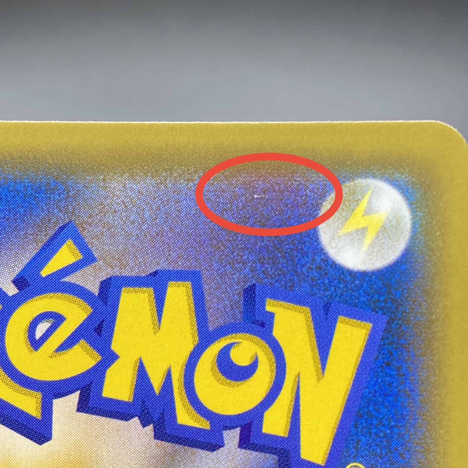 Erika's Hospitality SR 190/173