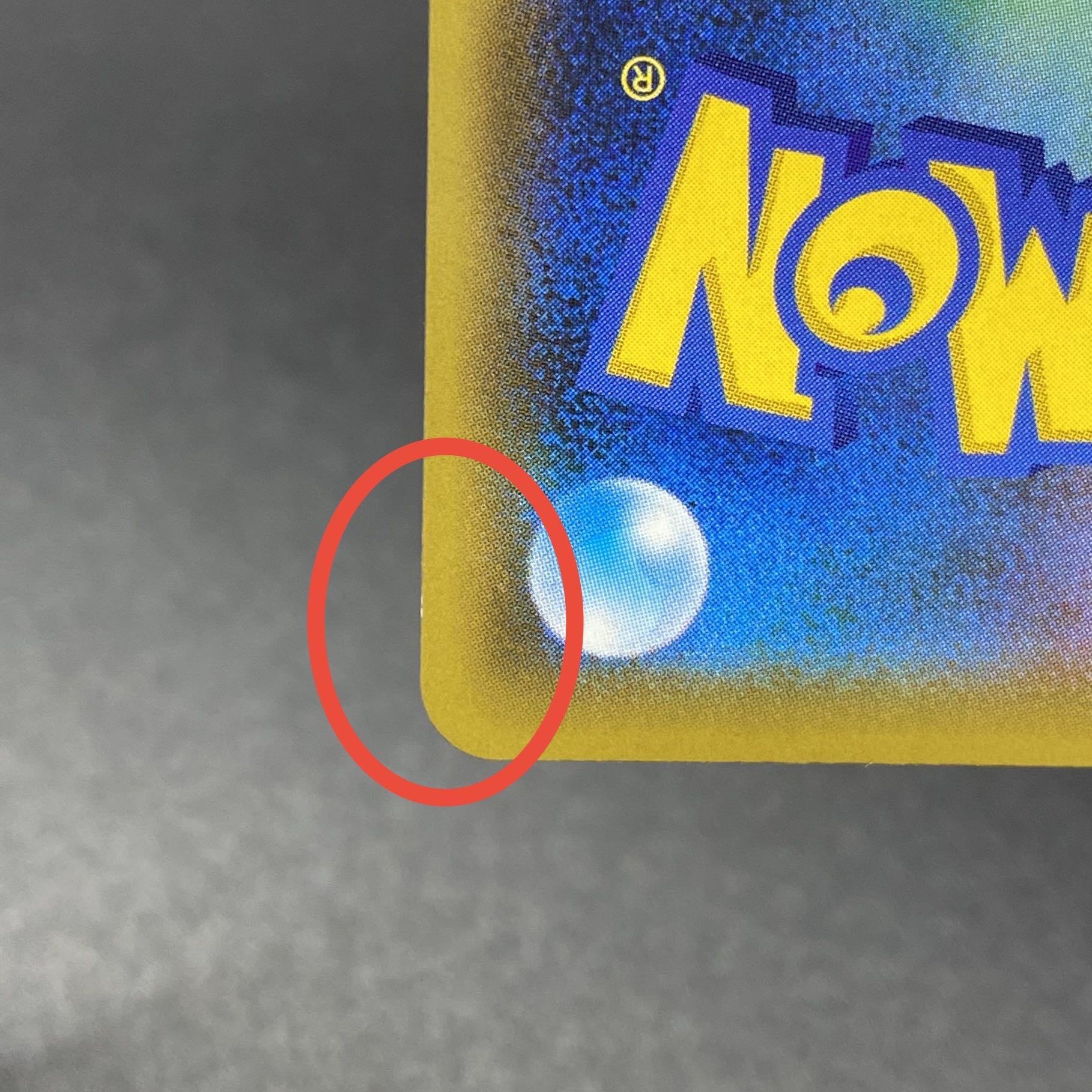 Erika's Hospitality SR 190/173