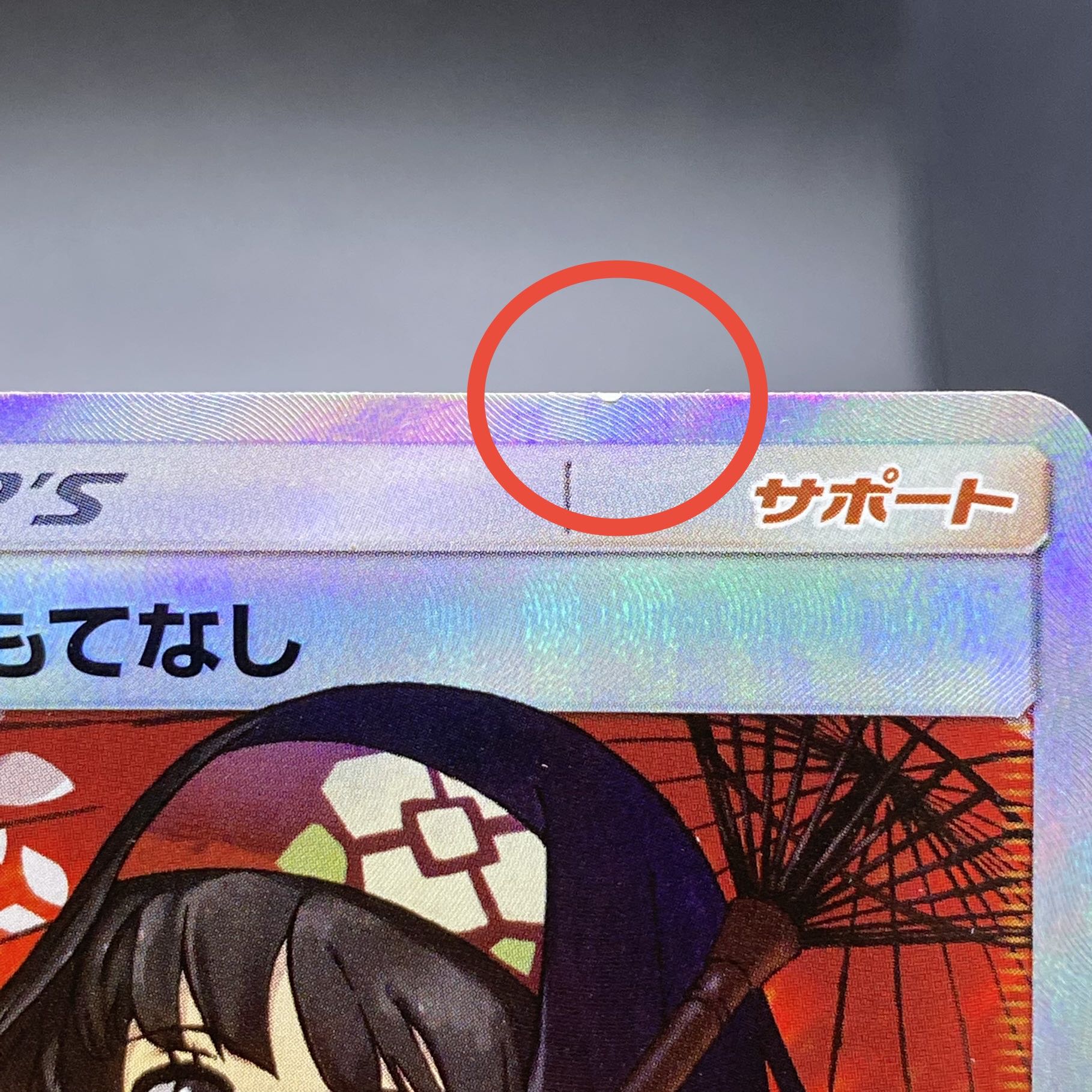 Erika's Hospitality SR 190/173