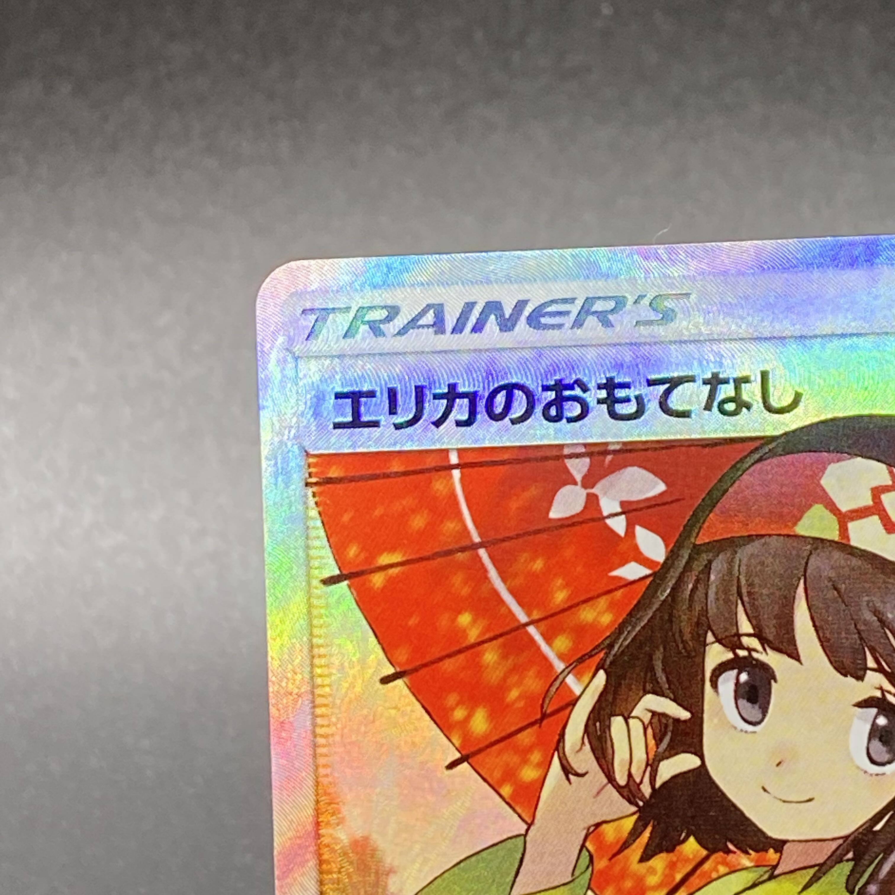 Erika's Hospitality SR 190/173