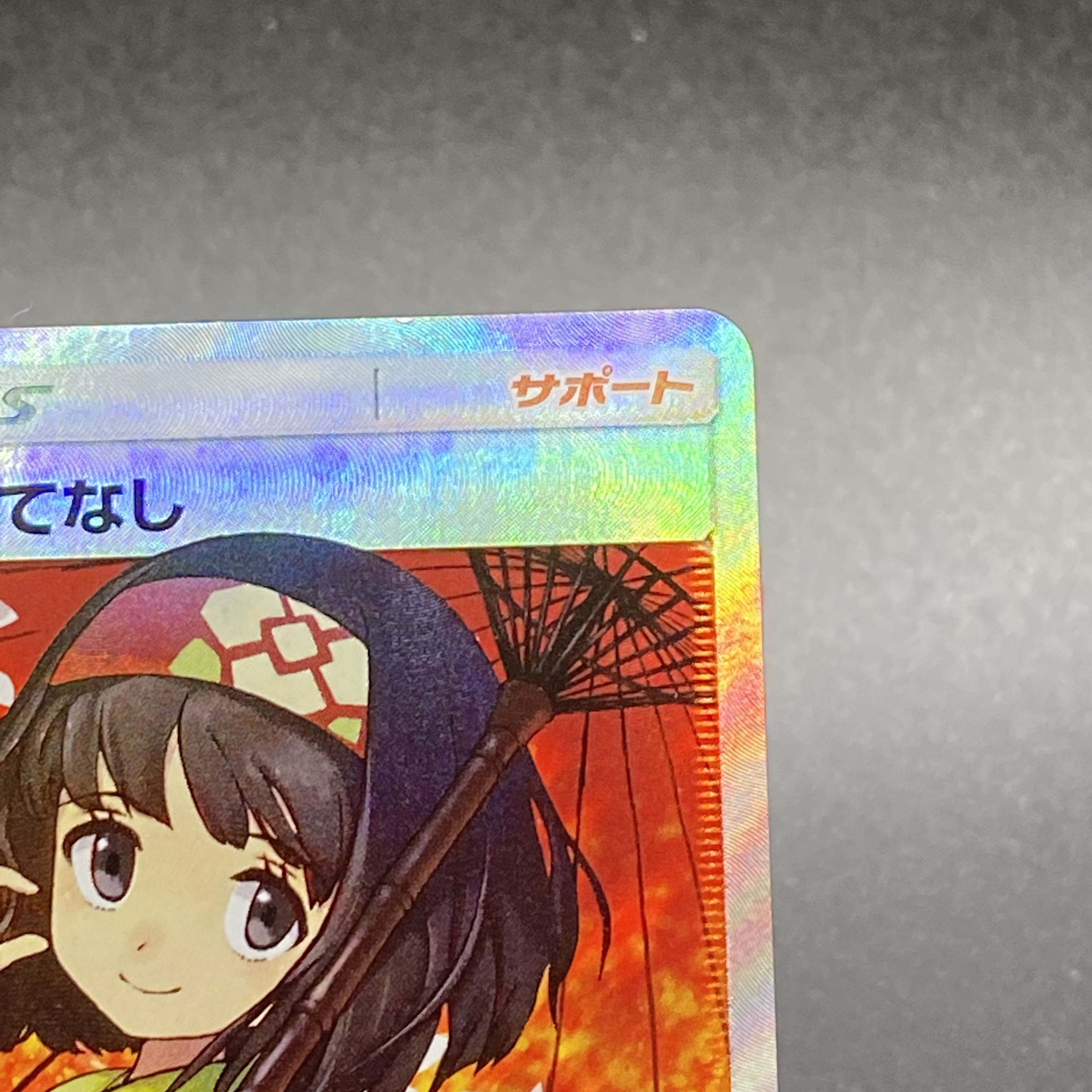 Erika's Hospitality SR 190/173