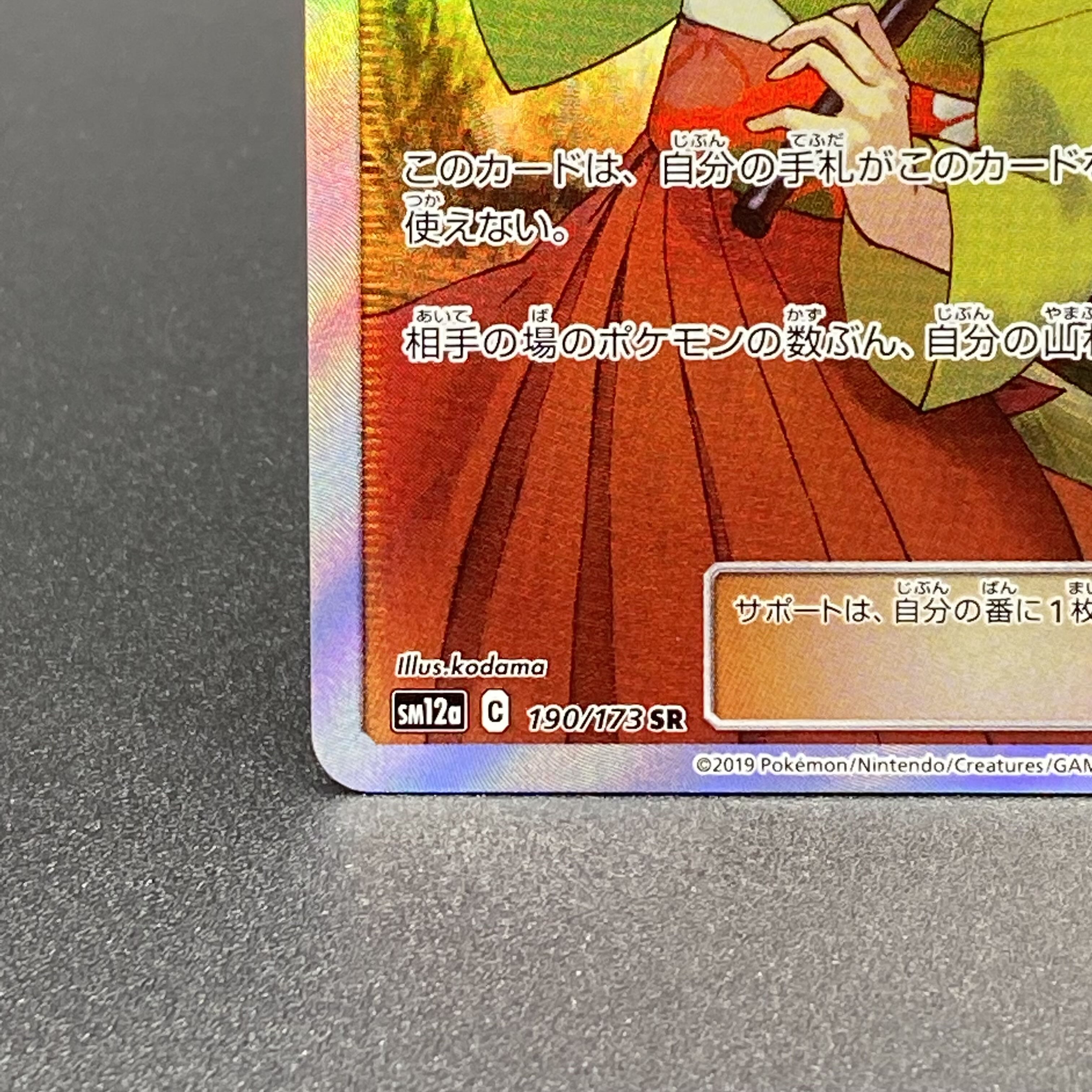 Erika's Hospitality SR 190/173