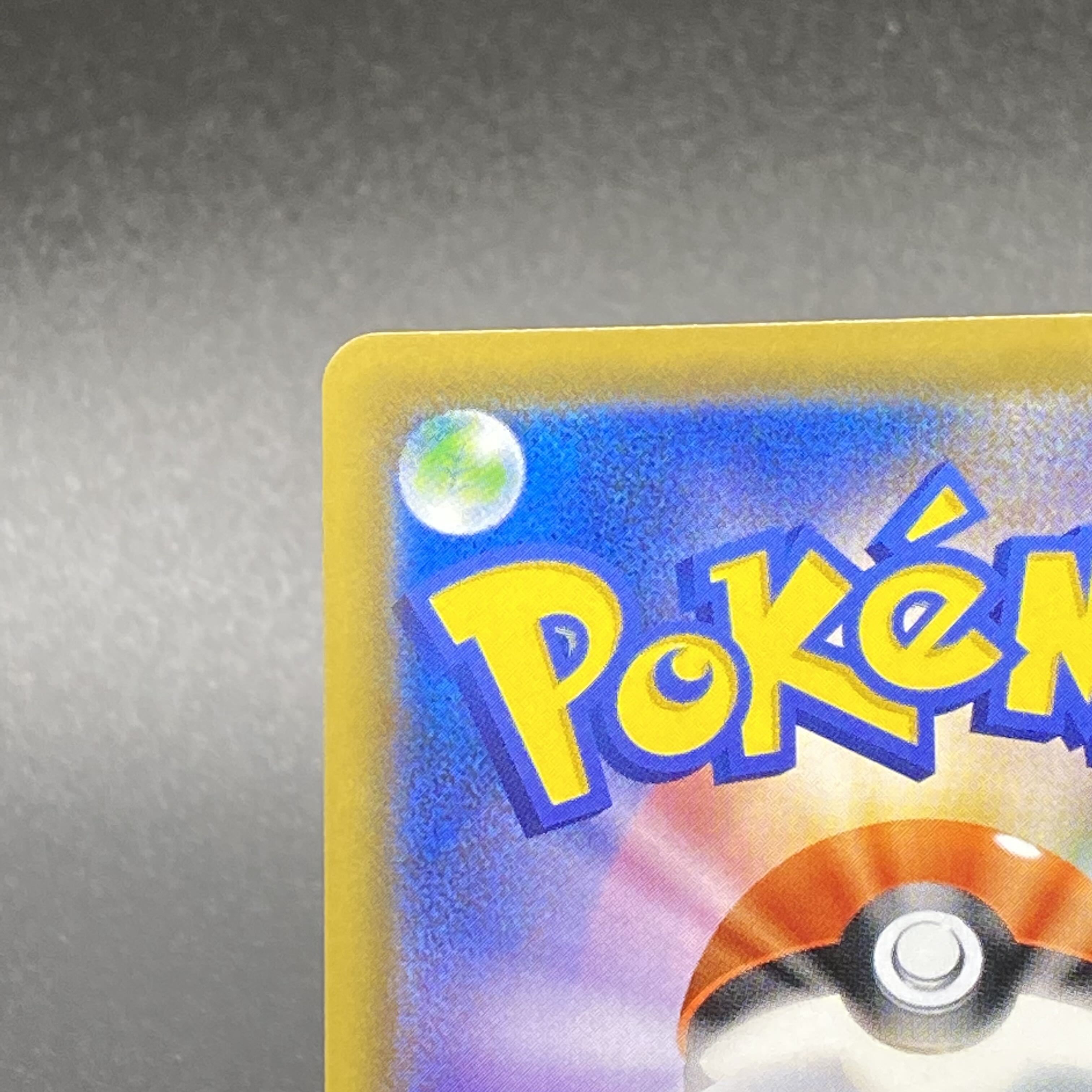 Erika's Hospitality SR 190/173