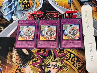 宝玉の双璧 DP07 3 レア 3枚セット てら