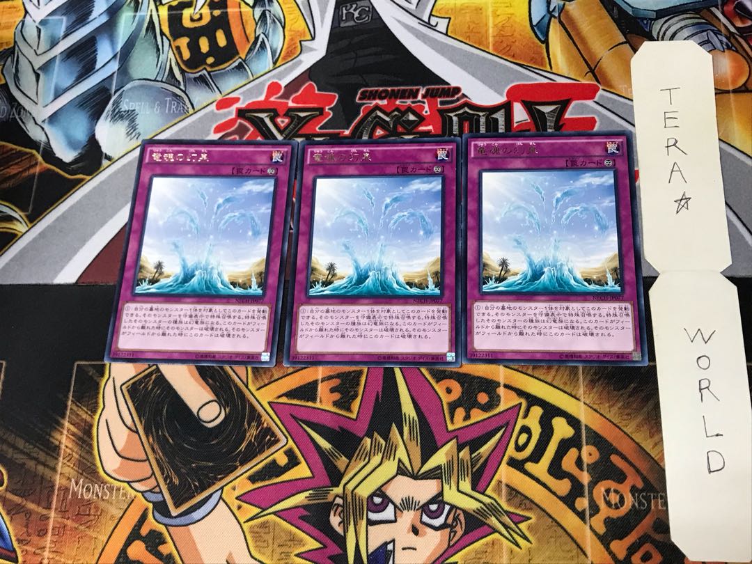 Oasis of Dragon Souls NECH 1 rare, set of 3 Tera.