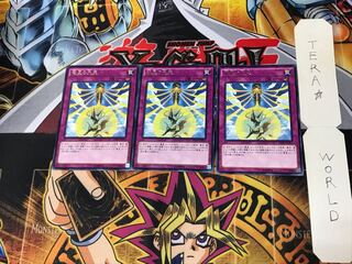 Nine Pillars of Yang Zing INOV 1 rare set of 3 tera