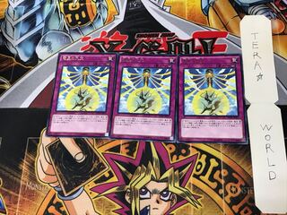 Nine Pillars of Yang Zing INOV 3 rare, set of 3 tera