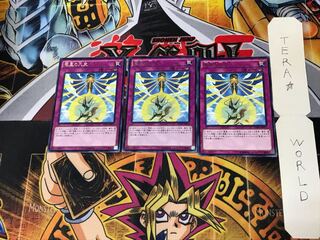 Nine Pillars of Yang Zing INOV 5 rare, set of 3 tera