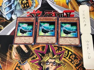 BF - Aurora of the Extreme Light STBL 3 Rare Set of 3 Tera.