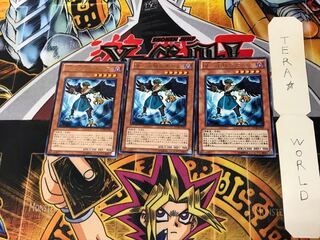 BF-Sharp Bora STOR 2 Rare Set of 3 Tera.