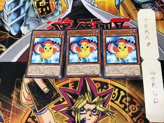 BF-南風のアウステル DP20 1 レア 3枚セット てら