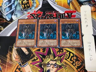 Destiny HERO - Dogma DP05 1 Rare Set of 3 Tera.