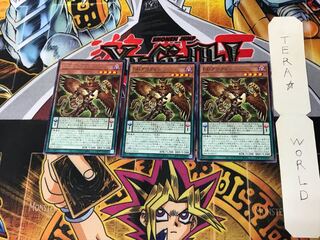 DD Griffon BACH 1 Rare Set of 3 Tera