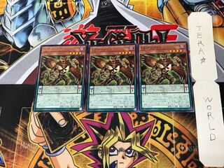 DD Griffon BACH 2 Rare Set of 3 Tera