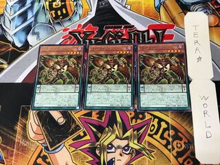 DD Griffon BACH 4 Rare Set of 3 Tera