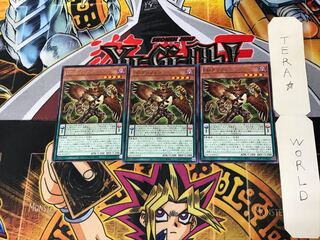 DD Griffon BACH 5 Rare Set of 3 Tera