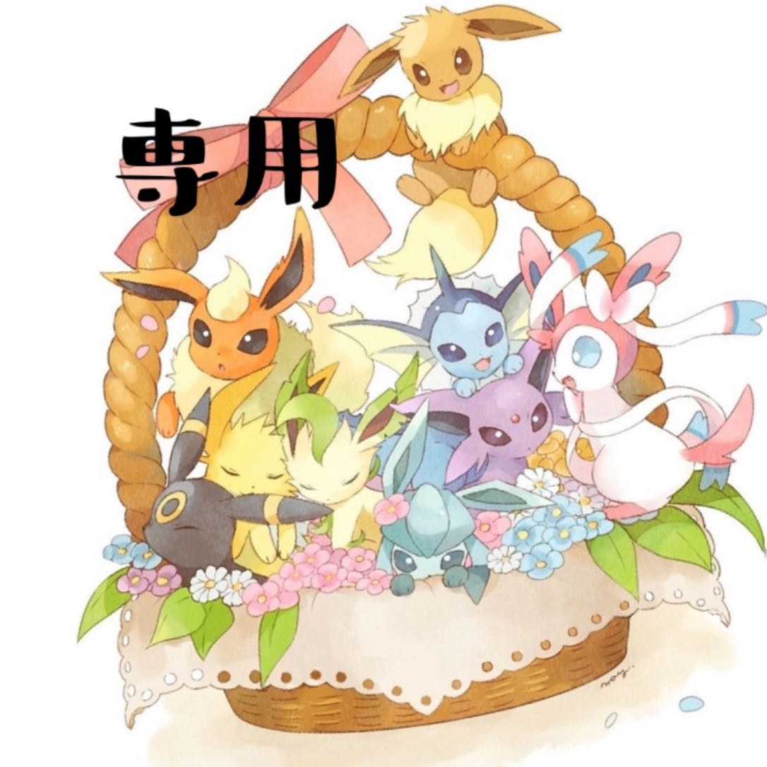 ごんちゃん様専用