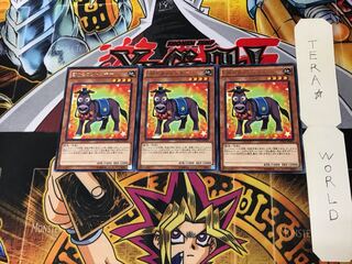 Performapal Secondonkey DOCS 5 Rare Set of 3 Tera.