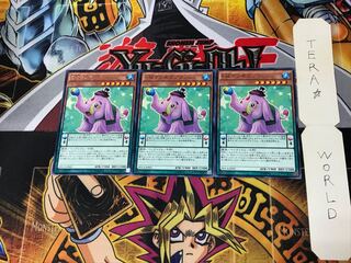 EMマンモスプラッシュ DOCS 5 レア 3枚セット てら