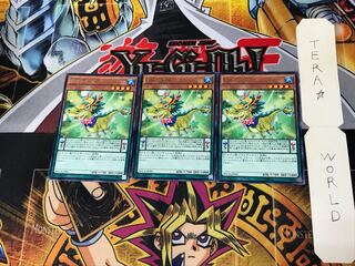 Performapal Coin Dragon MACR 1 Rare Set of 3 Tera