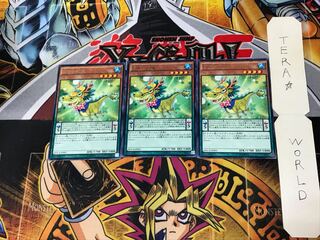 Performapal Coin Dragon MACR 2 Rare Set of 3 Tera