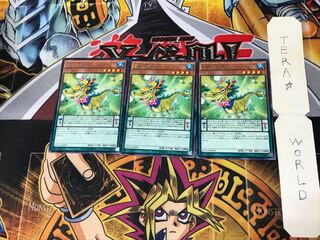 Performapal Coin Dragon MACR 4 Rare Set of 3 Tera