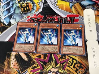 Neo-Spacian Aqua Dolphin DP03 3 rare, set of 3 Tera