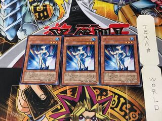 Neo-Spacian Aqua Dolphin DP03 5 Rare Set of 3 Tera