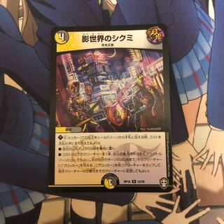 Shikumi in the shadow world R 22/95