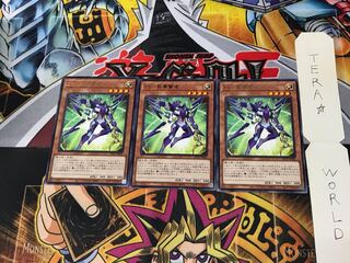 ZS-Consecrate Sage LIOV 5 Rare Set of 3 Tera.